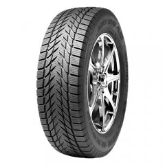 JoyRoad RX808